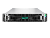 DL384 Gen12